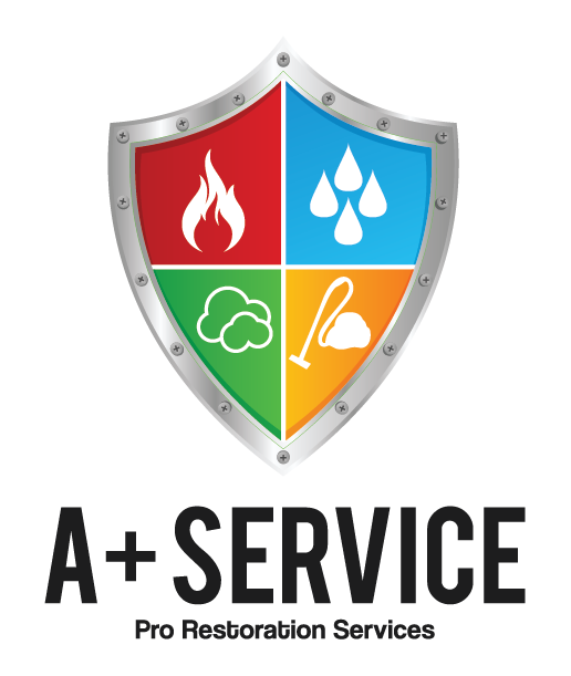 A+ Service Pro